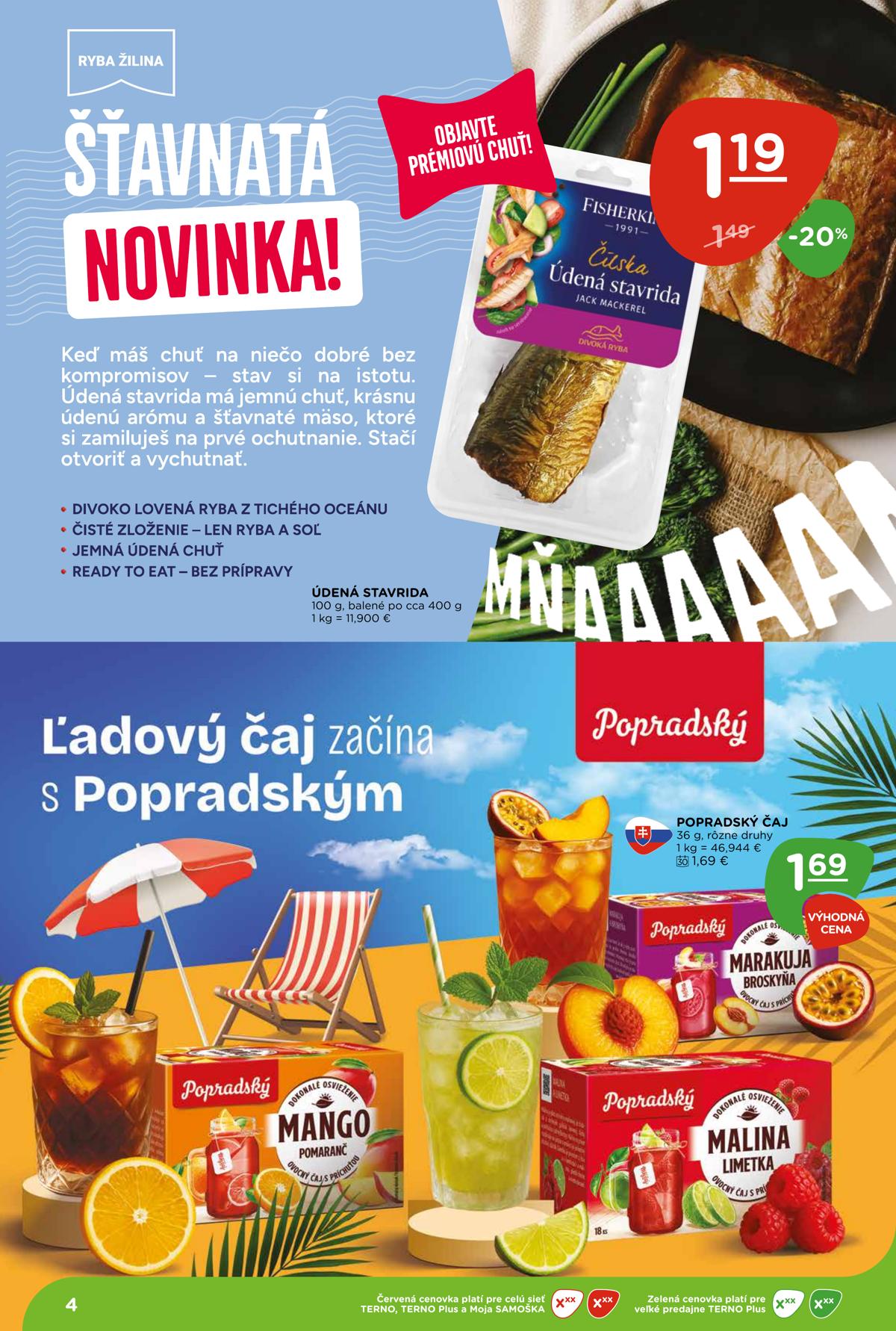 Terno leaflet 004