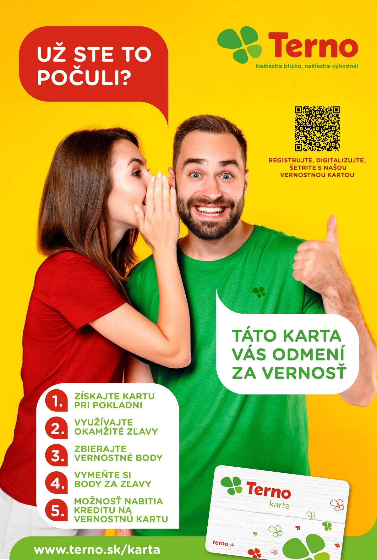 Terno leaflet 004