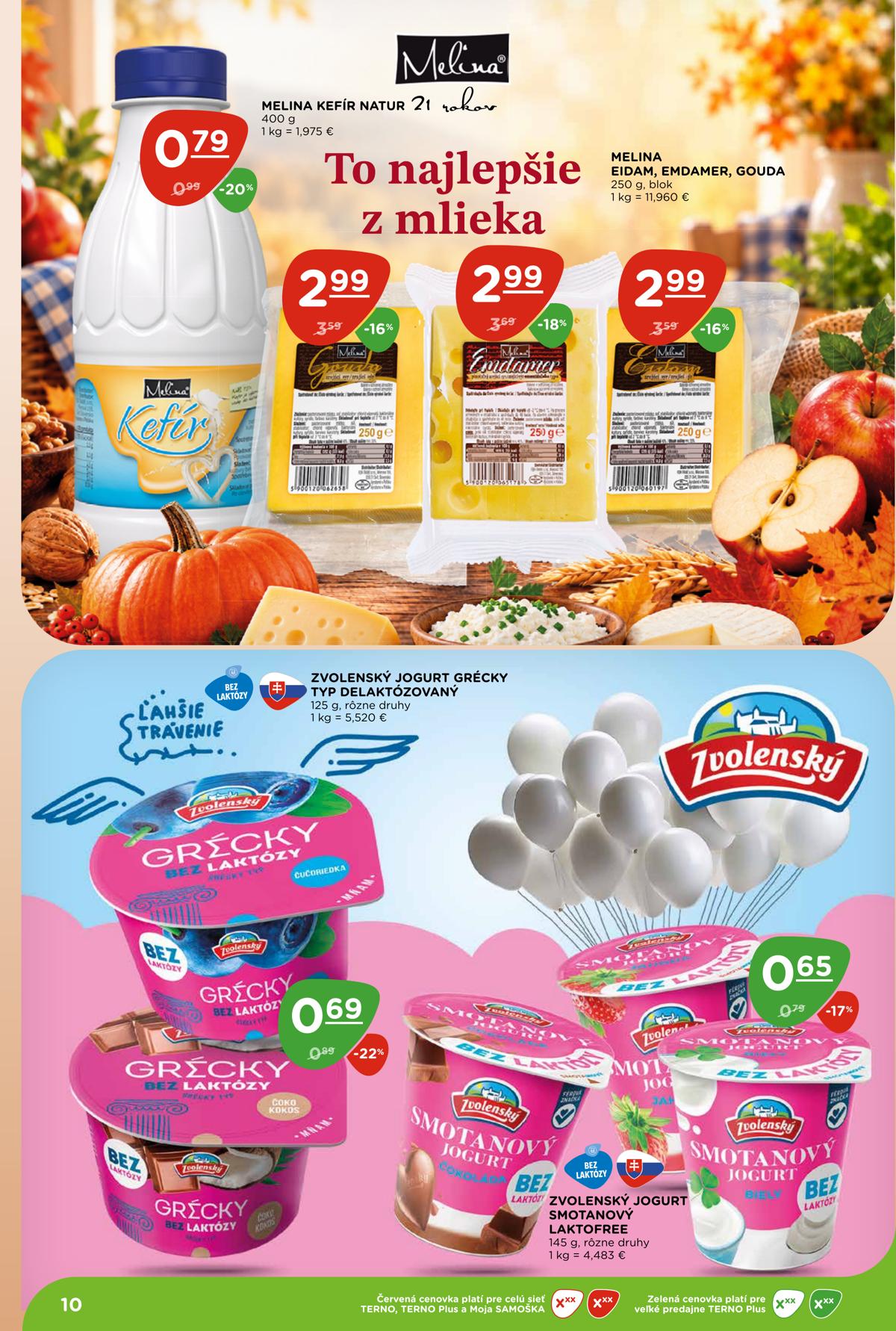 Terno leaflet 010