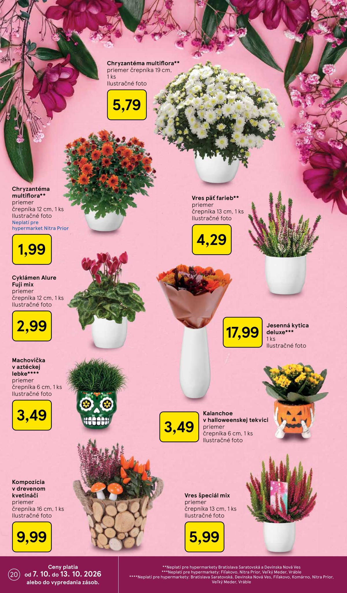 TESCO leaflet 020