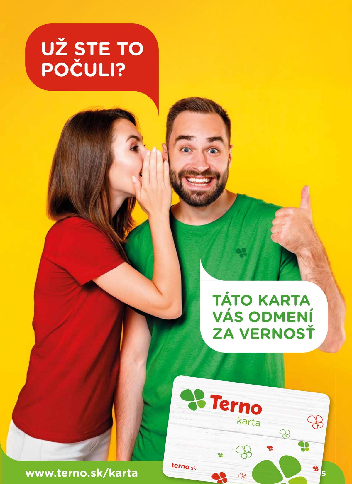 Terno leaflet 006